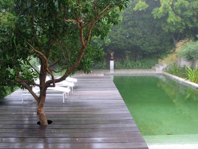 El color de las piscinas