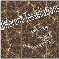 Veryan Weston: Different Tessellations (EMANEM, 2011)