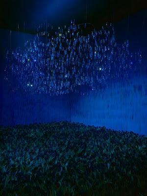 La luz necesita de la oscuridad & Saborear Cada Momento