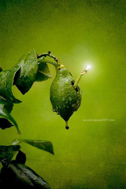 La luz necesita de la oscuridad & Saborear Cada Momento