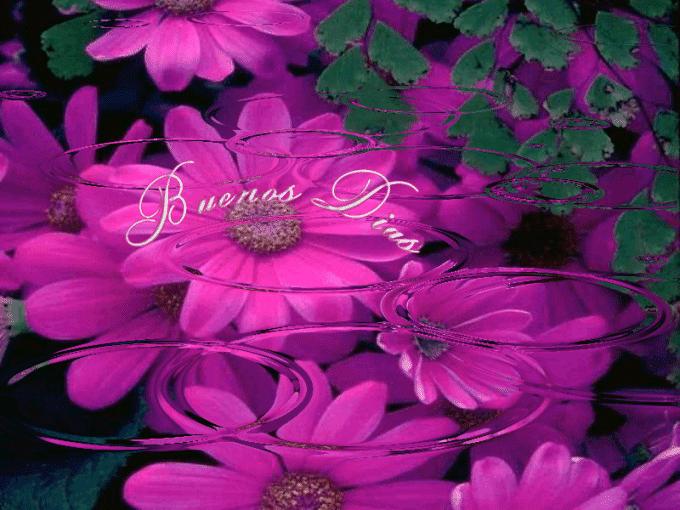 Plegaria de una planta nativa