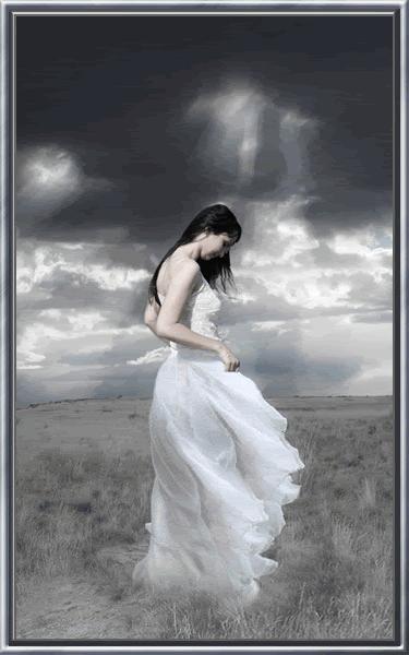 Plegaria de una planta nativa