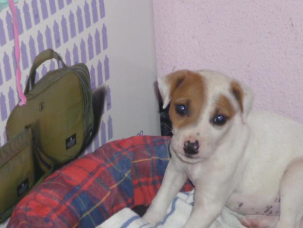 La iban a quemar viva!!!!!!!