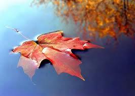 Eres: una razón, una estación o una vida?