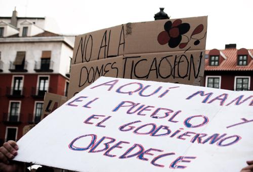 Valladolid se echa a la calle en protesta por los sucesos de Barcelona