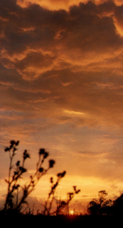 Poema de Manuel Altolaguirre