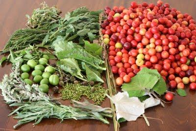 Comer lo que uno encuentra