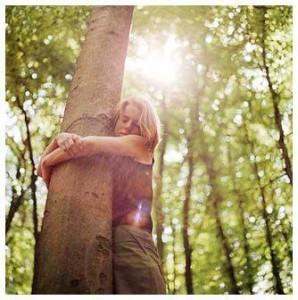 abrazar arbol Cómo Captar la Energía de los Árboles