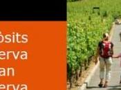 Bancos especulan alimentos