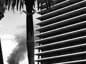 Vida Soft Epic (Root Strata,2011)