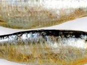fuerte olor sardinas