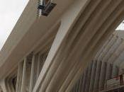 juez condena Calatrava, Fiaga subcontrata devolver millones. Comercio condenado accidente obra. Mundo