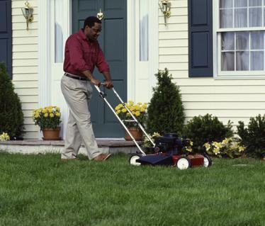 Mantenimiento del Cesped