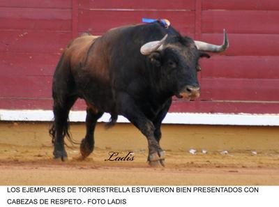 FERIA DE CORDOBA 6ª DE ABONO: CUANDO HAY TORO NO HAY TOREROS