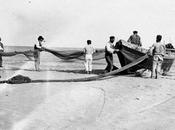 En-red-ando crí@s… (33)