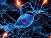 ¿usar internet hace tontos?