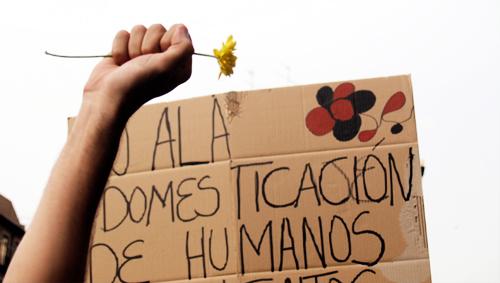 Editorial: La letra con sangre entra