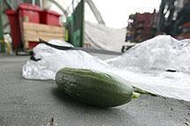 [foto de la noticia]