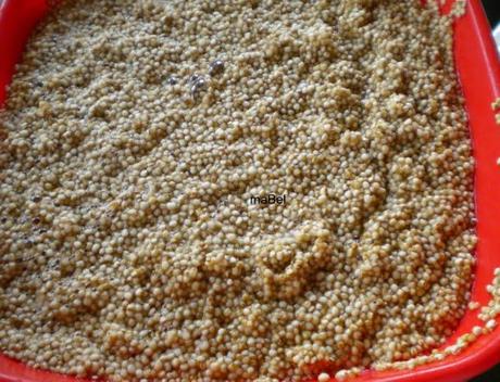 Gnocchi de quinua - Ñoquis de quinoa y semola
