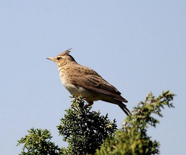 MOCHILA,CÁMARA Y MUCHAS GANAS DE DISFRUTAR