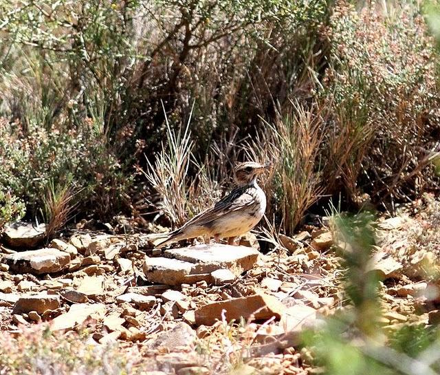 MOCHILA,CÁMARA Y MUCHAS GANAS DE DISFRUTAR