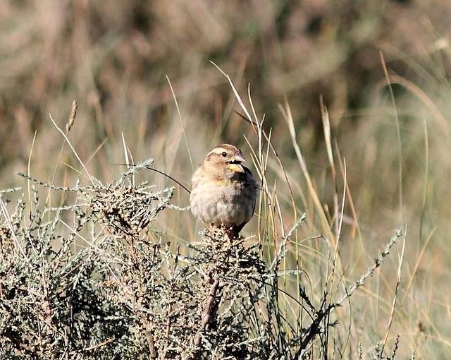 MOCHILA,CÁMARA Y MUCHAS GANAS DE DISFRUTAR