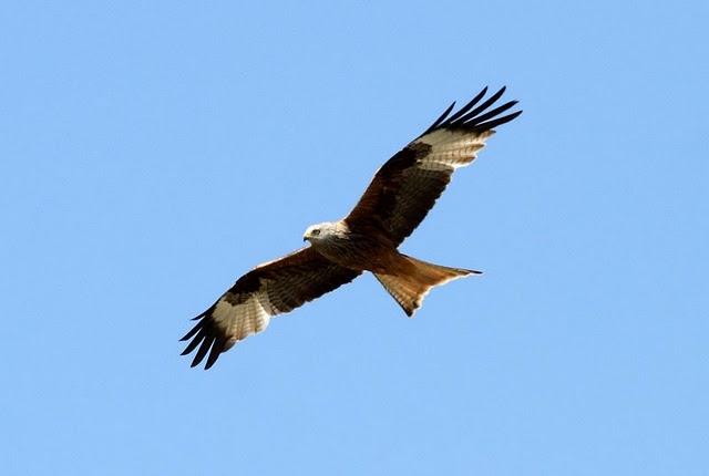 MOCHILA,CÁMARA Y MUCHAS GANAS DE DISFRUTAR
