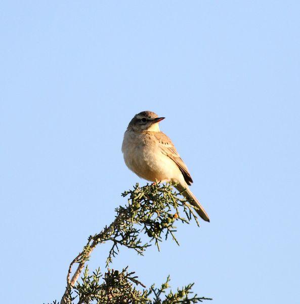MOCHILA,CÁMARA Y MUCHAS GANAS DE DISFRUTAR