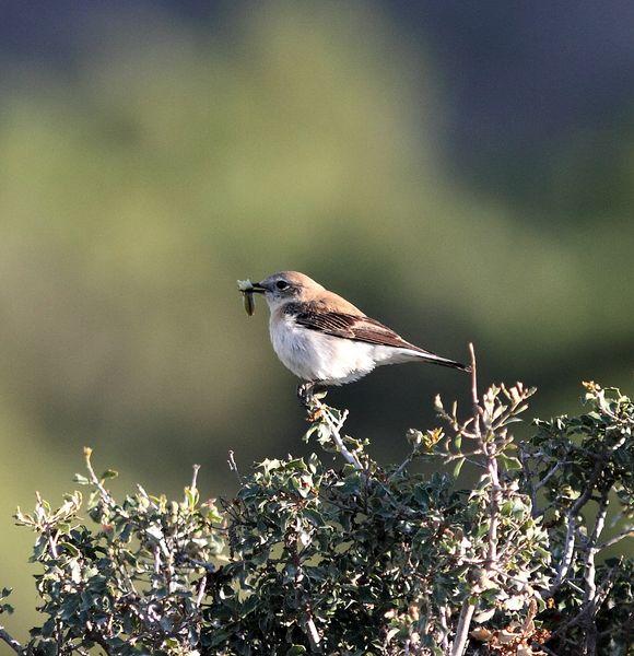 MOCHILA,CÁMARA Y MUCHAS GANAS DE DISFRUTAR