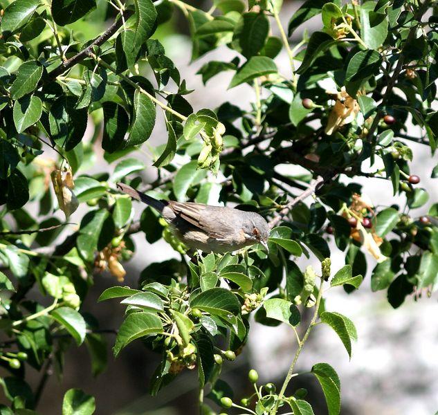 MOCHILA,CÁMARA Y MUCHAS GANAS DE DISFRUTAR