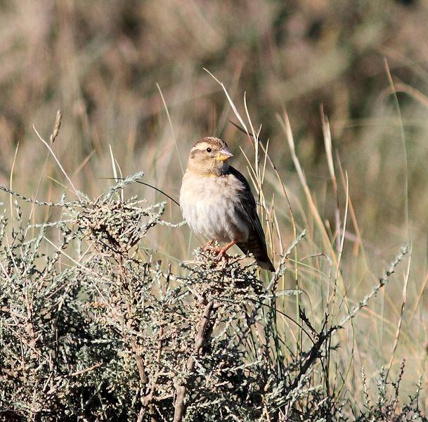 MOCHILA,CÁMARA Y MUCHAS GANAS DE DISFRUTAR