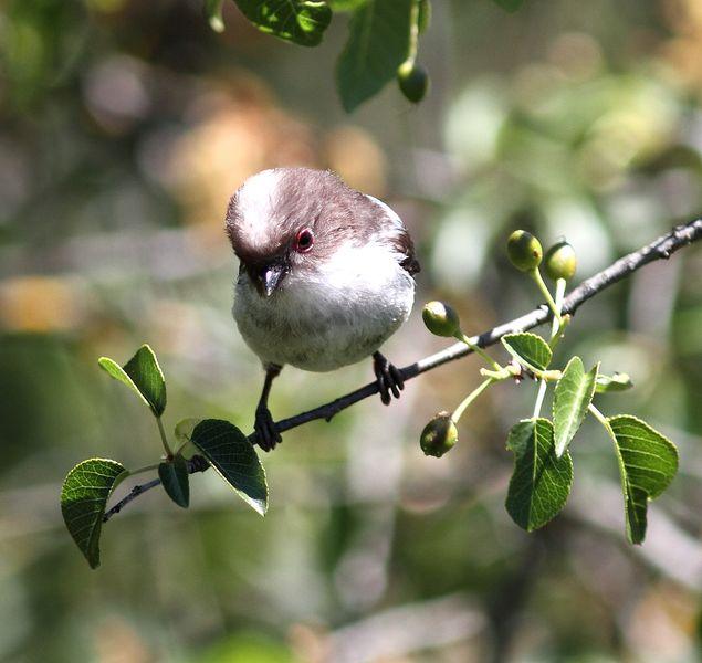 MOCHILA,CÁMARA Y MUCHAS GANAS DE DISFRUTAR