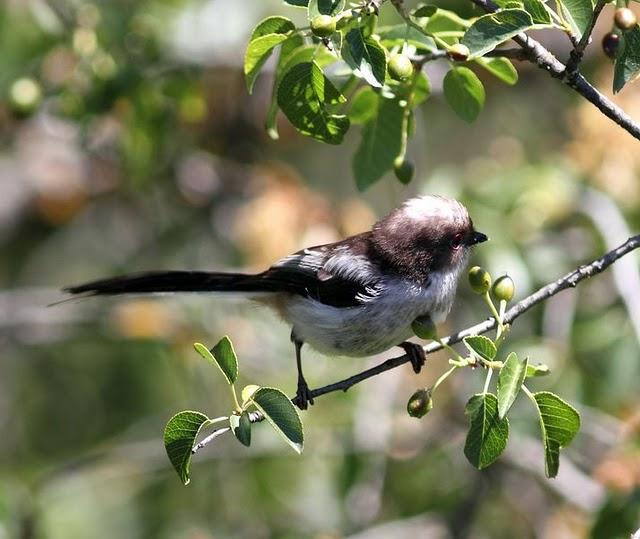 MOCHILA,CÁMARA Y MUCHAS GANAS DE DISFRUTAR