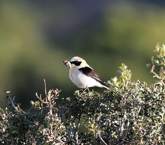 MOCHILA,CÁMARA Y MUCHAS GANAS DE DISFRUTAR
