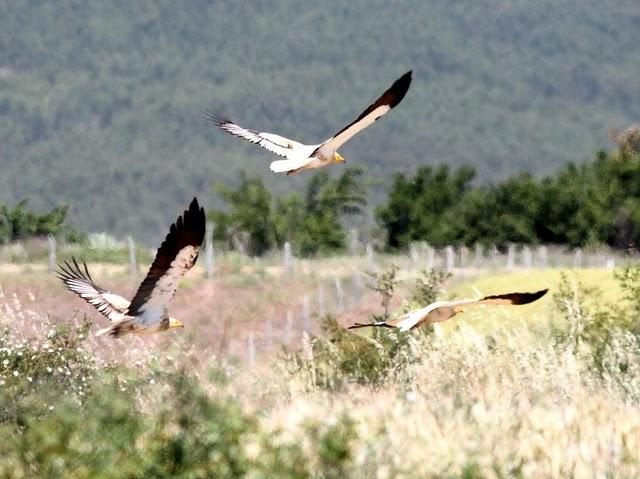 MOCHILA,CÁMARA Y MUCHAS GANAS DE DISFRUTAR