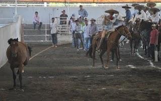 Charros de Jalisco campeón estatal con sus 413 puntos