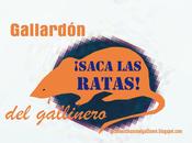 Firuriiiiiii firuriiiiiiiii saquen ratas como Hamelin