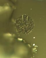 La Luna alberga en su interior cien veces más agua de lo esperado