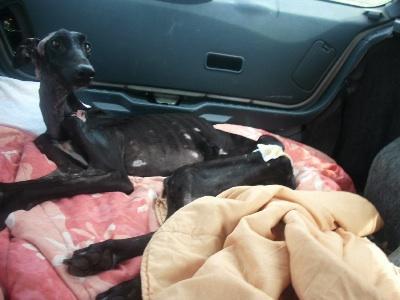 Esperanza: un mes de rescatada.