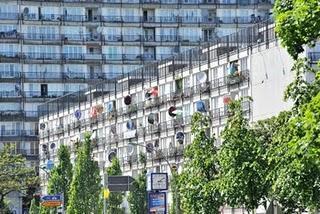 Dignificando las antenas Dignificando las antenas