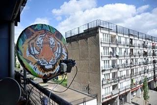 Dignificando las antenas Dignificando las antenas