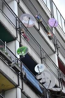 Dignificando las antenas Dignificando las antenas