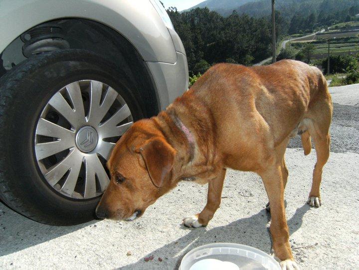 Ha empezado su cuenta atrás :(