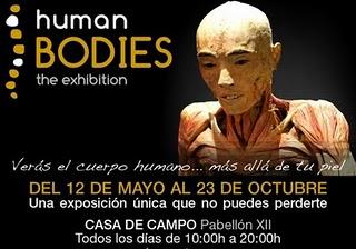Human Bodies, the exhibition