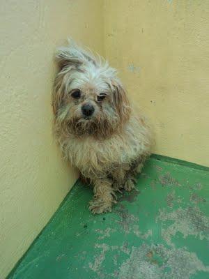 Badajoz, abuelitos... no hay nada mas triste !!.