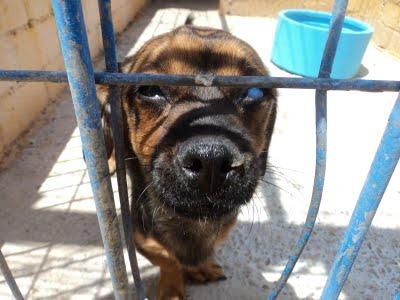 Badajoz, abuelitos... no hay nada mas triste !!.
