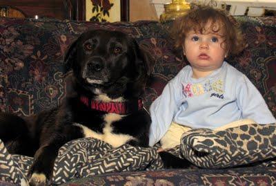 Relaciones nuevo bebé y perro residente