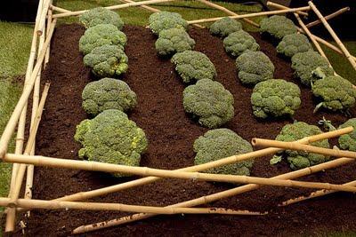 Mi pequeña crónica de la Tercera Beauty Party.