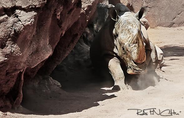 Veamos si he aprendido algo en estos 8 meses