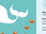 Twitter hará propio servicio para compartir fotos